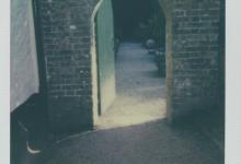 Archway to enter walled garden, Trengwainton