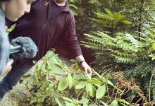 Esme recording Gareth's Walk and Talk